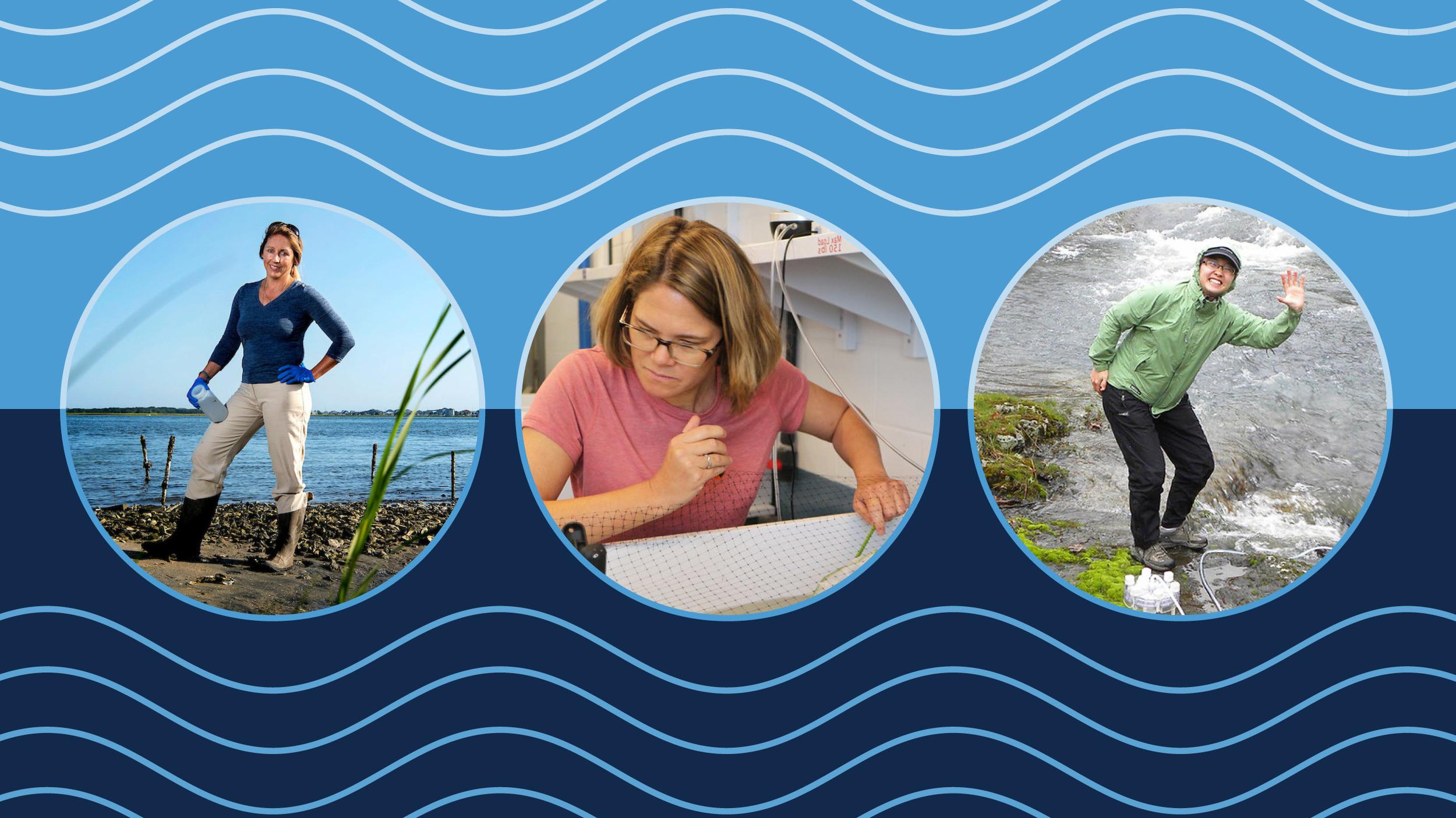 Photos of Xiao-Ming Liu standing near a stream; Rachel Nye scooping through water with a net; Rachel Noble standing near an estuary with water flowing behind her.